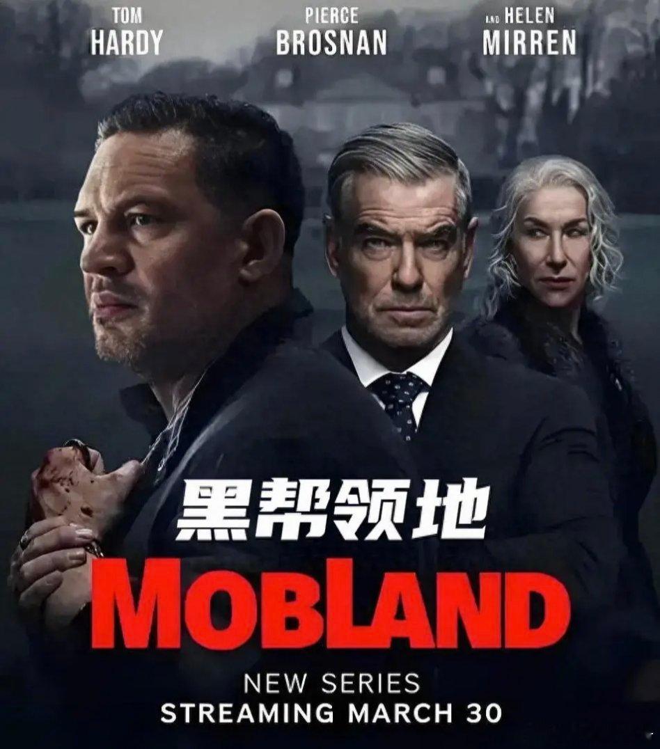 推荐一部黑帮题材的美剧《黑帮领地》，这个由大名鼎鼎擅长拍黑帮题材的盖里奇执导。汤