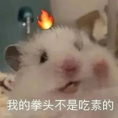 𝑺𝒉𝒂𝒓𝒆·表情包丨超实用搞笑的表情包分享 ​​​