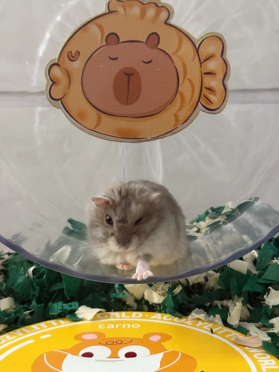 羞羞的铁拳PS小狗撒尿