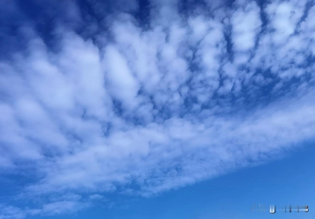 天空中飘荡着白云，已经看不到诗情画意的秋色了，又一个冬天姗姗来临，时光如梭，岁月