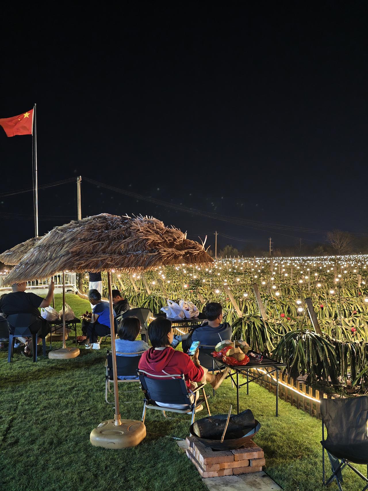 海南候鸟全家出游！打卡100亩拾光火龙果基地，甜到心坎里

       作为常
