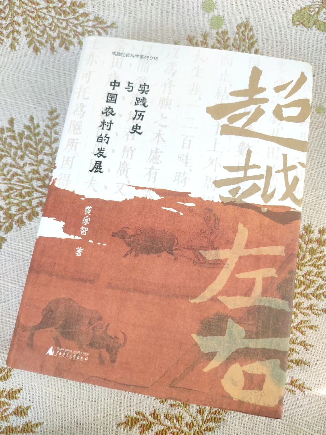 超越左右：中国经济史内在的实践逻辑