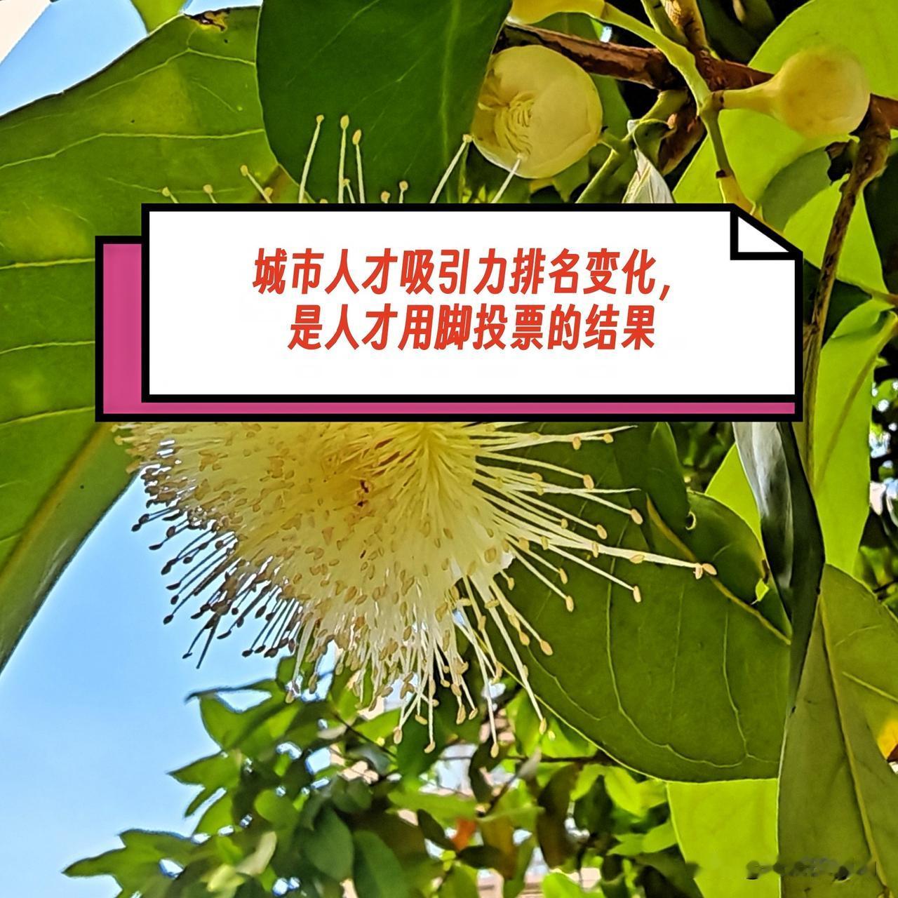 在最新发布的中国城市人才吸引力100强榜单中，2025年广东省入选的城市与202