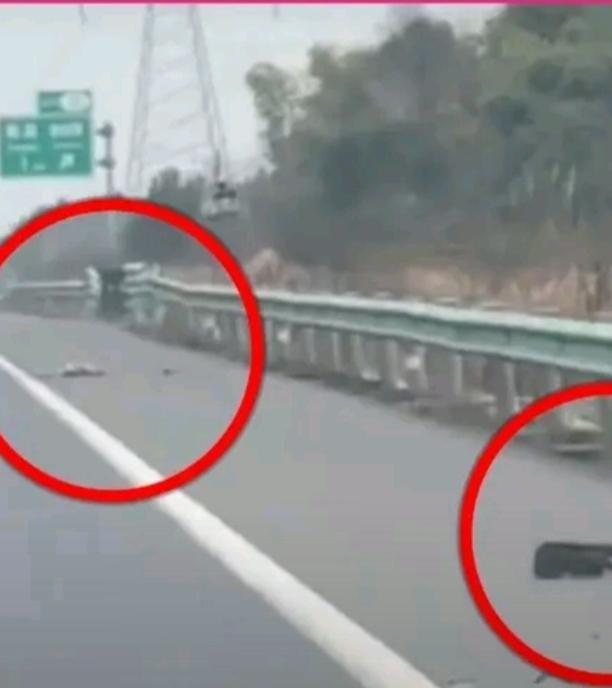 2月25日，吴先生在四川乐山至重庆约300公里高速上发现62只猫狗尸体，其中54