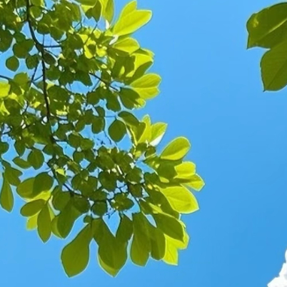 善待自己，从心开始。眼里的世界，从来只是表象；心灵的声音，才是生命的真谛。一片落