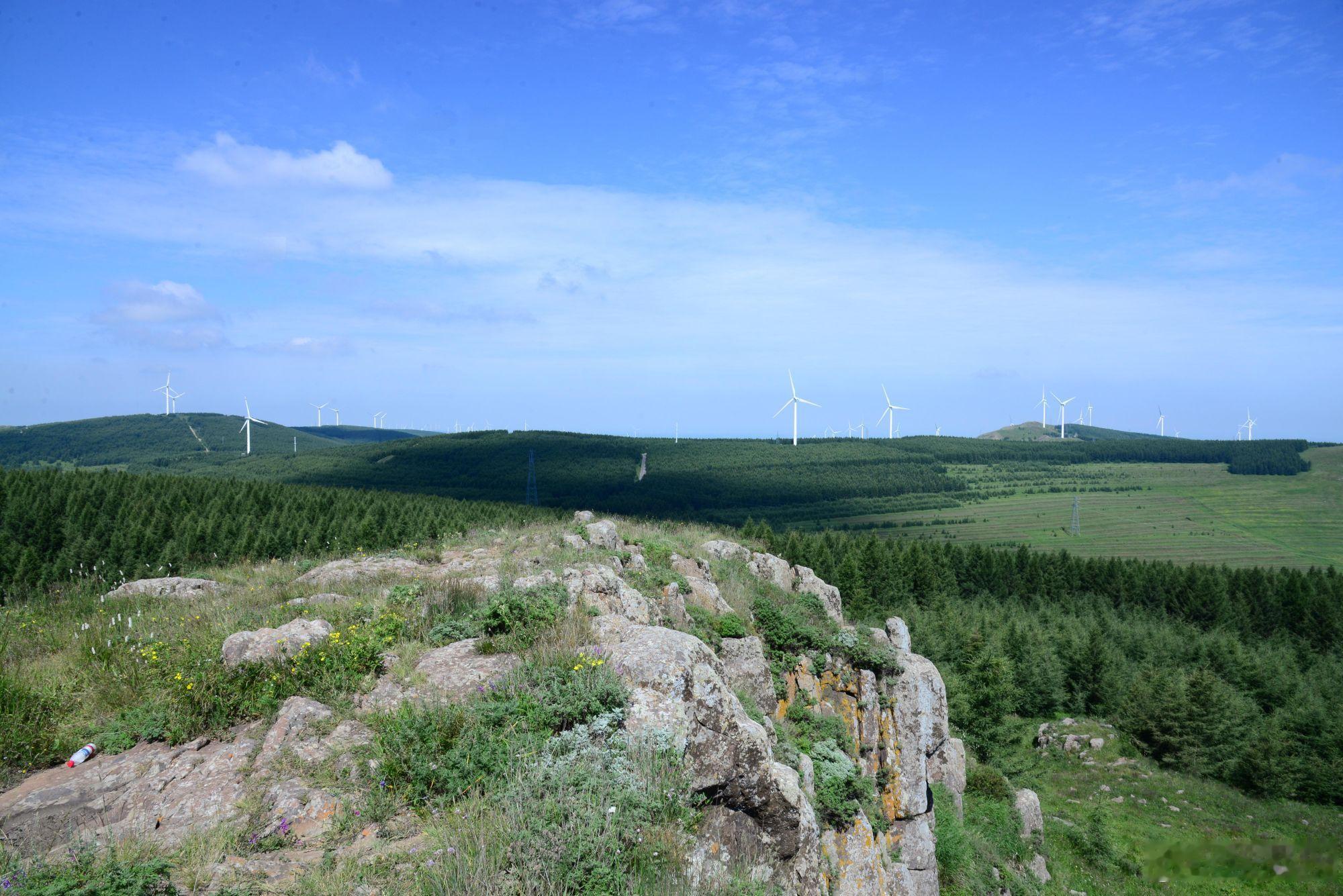 两天开了七百公里，塞北草原风景很不错。道路两侧都是高大的欧洲落叶松和低矮的油松，