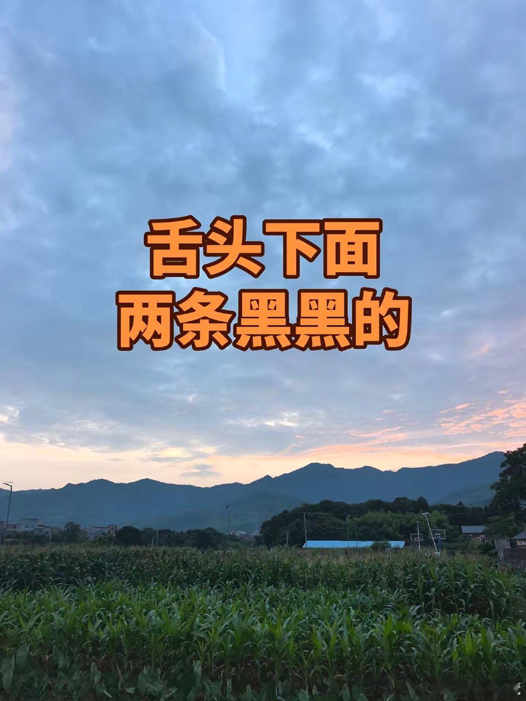 2026年美加墨世界杯K组首轮比赛中，葡萄牙爆冷以1-1战平民主刚果。开场仅第6