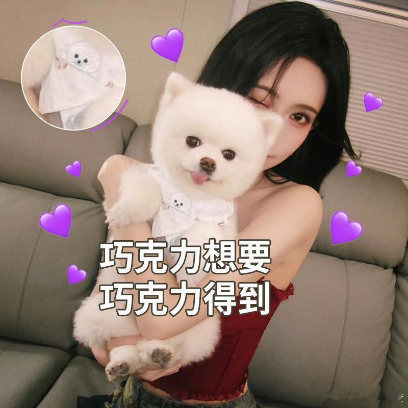 巧克力 孟子义嫡长狗 双11疯狂好六夜 别人上节目才艺争奇斗艳，孟姐上疯狂好六夜