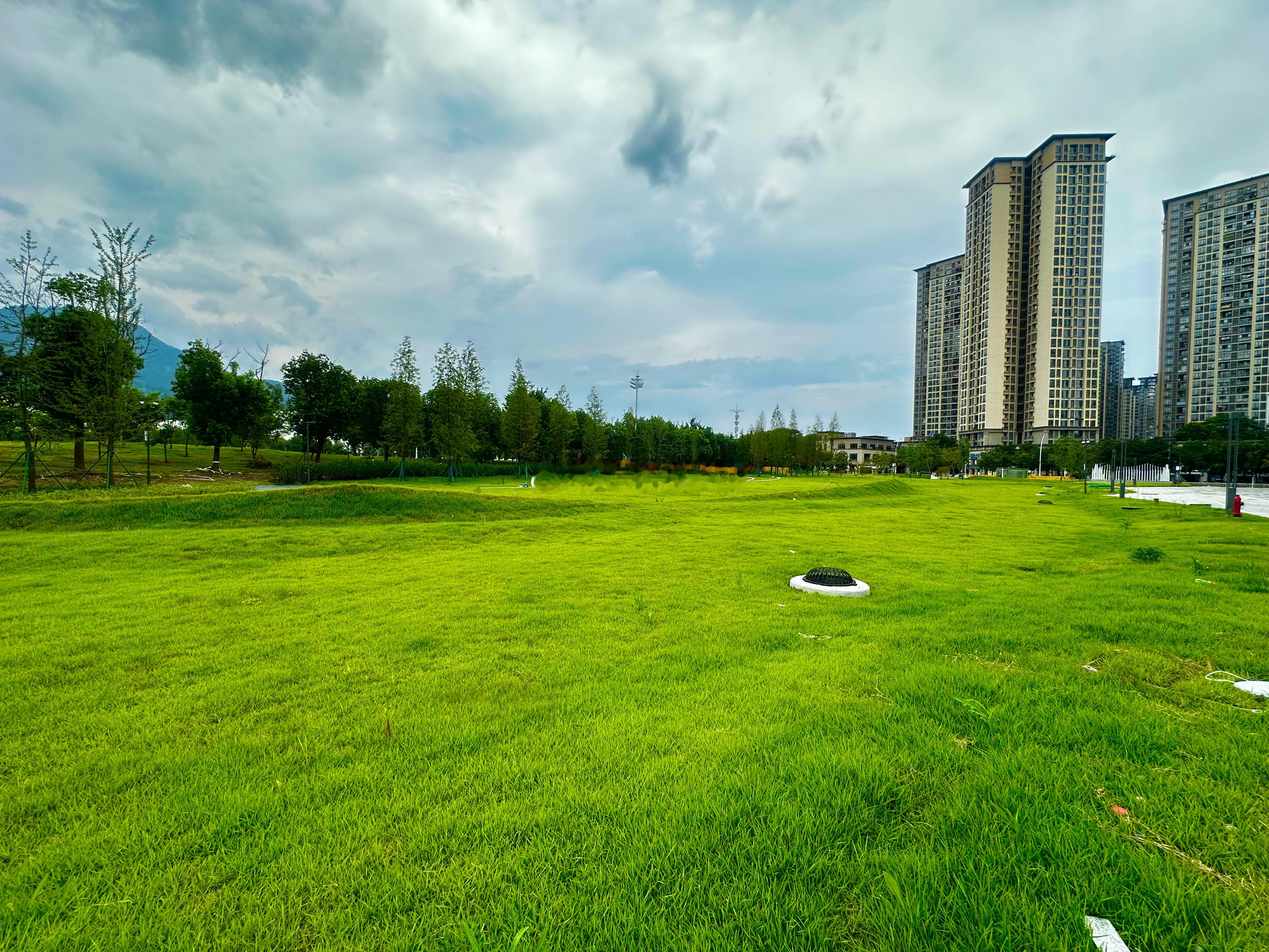 正在加快“二装”的福建省美术馆新馆年底前新馆投入使用 场馆门口的一整片的阳光草坪