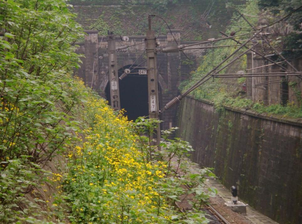 2011年春，梨树湾经沙坪坝到菜园坝重庆站的梨菜线小龙坎隧道靠沙坪坝站一端的洞口