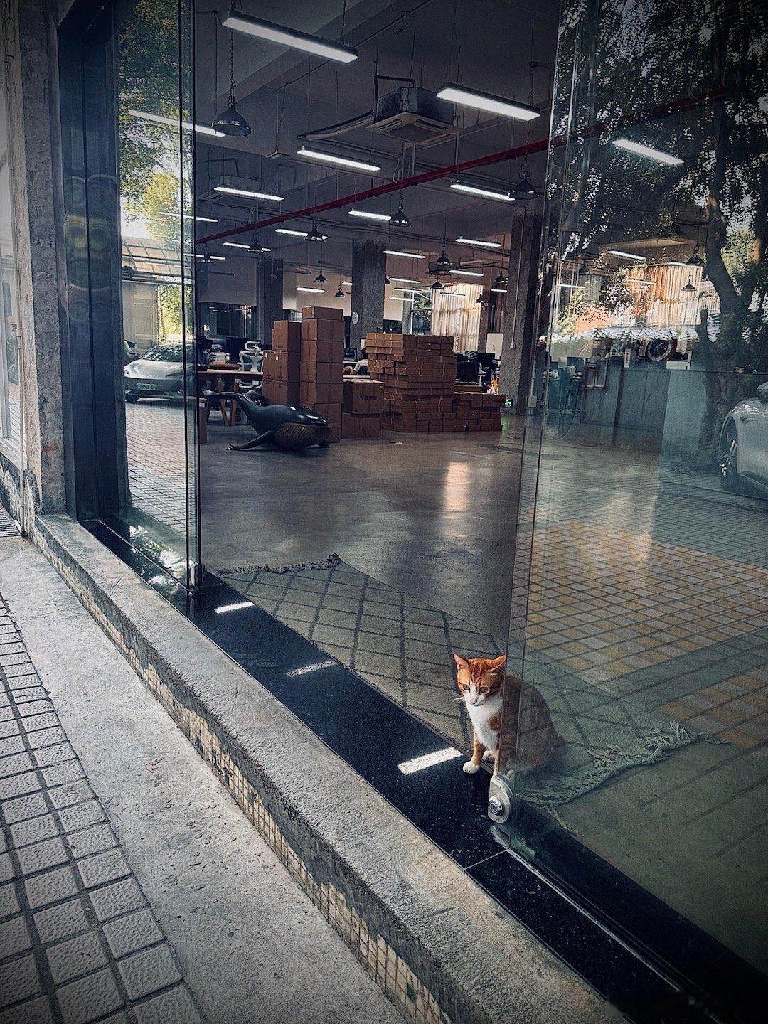 一到公司，有人堵门[允悲] ​​​
