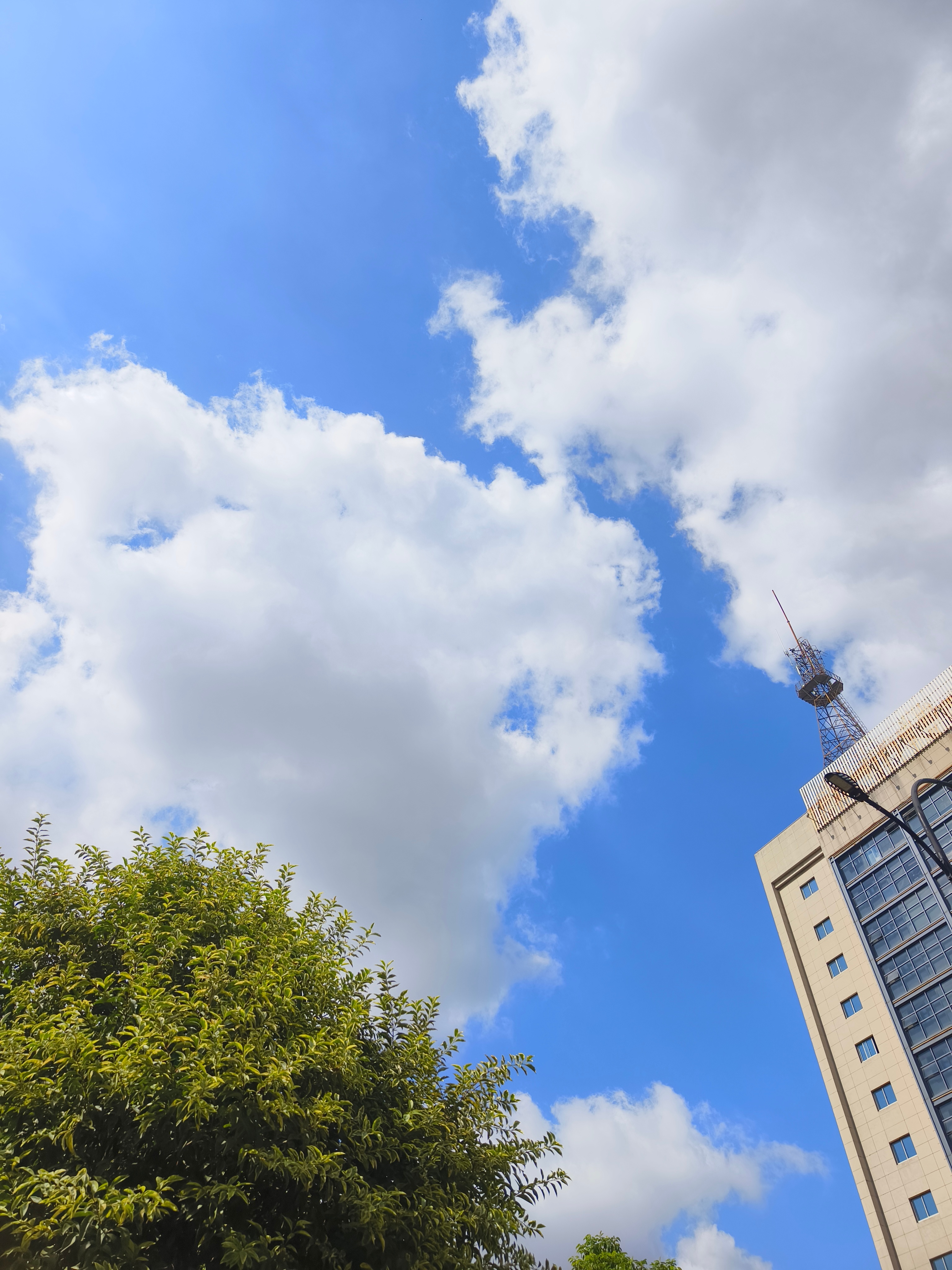 今天阳光真好。 ​​​