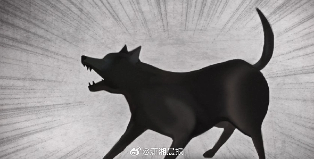 【#韩国男子训练狗攻击邻居被判一年#】近日,韩国一名64岁的男子A某，因训练自己
