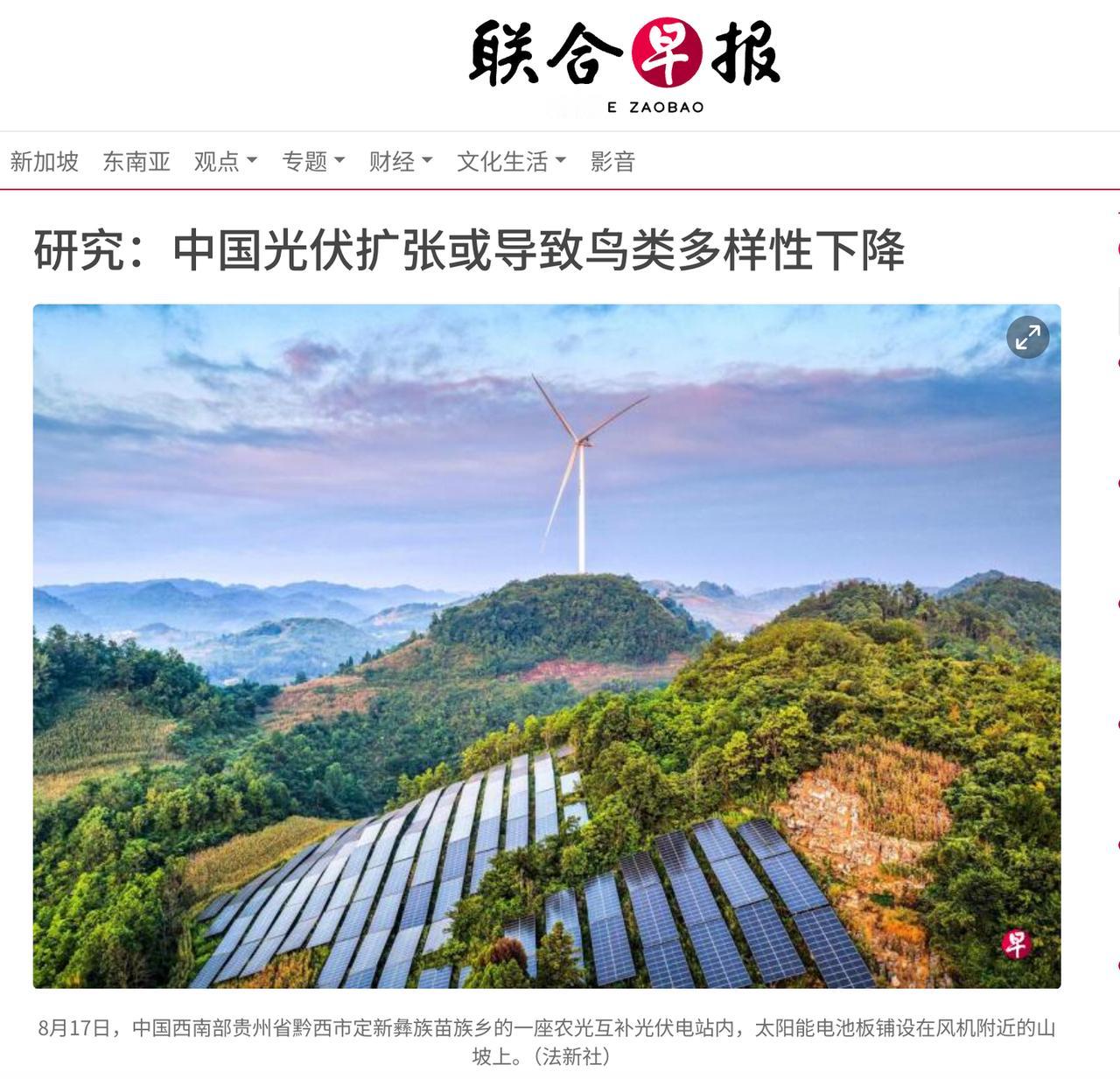 联合早报：中国光伏扩张，或关坡县“鸟事”！

近期，作为坡县半官方性质的类政务宣