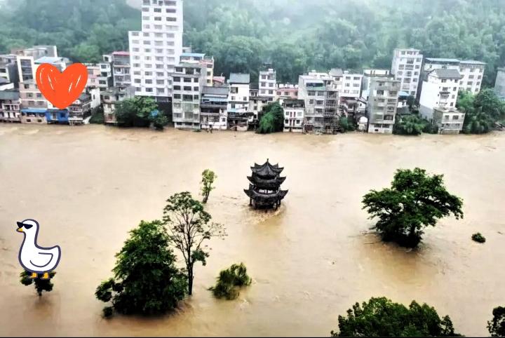 人情这笔账，该不该算清楚？
 
问一下专家
我们多地遭遇洪涝灾害，有人疑惑：曾经