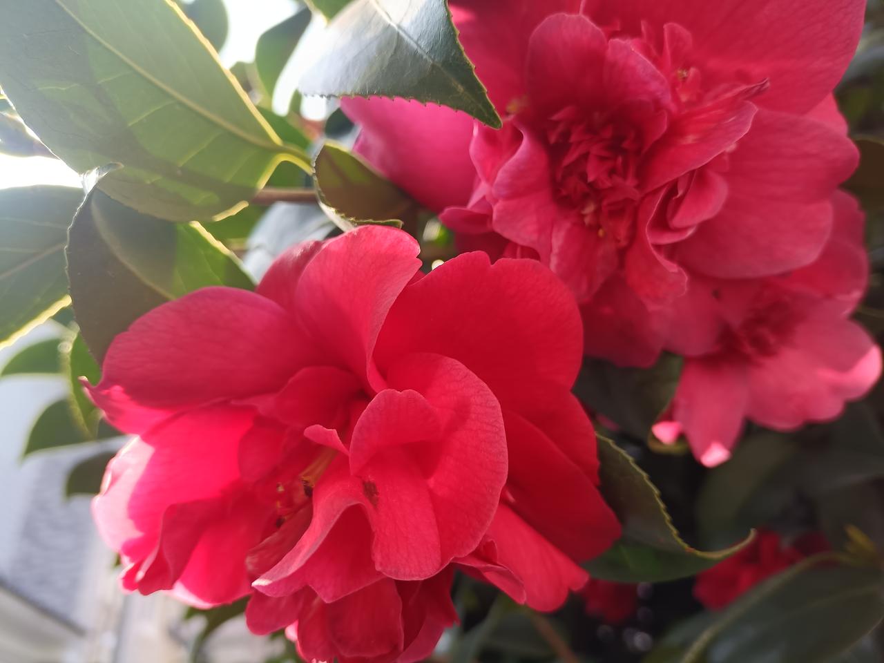 横店影视城，在影视拍摄和旅游互动产生效应，人们在旅游过程见到拍摄过程，面对乐见感