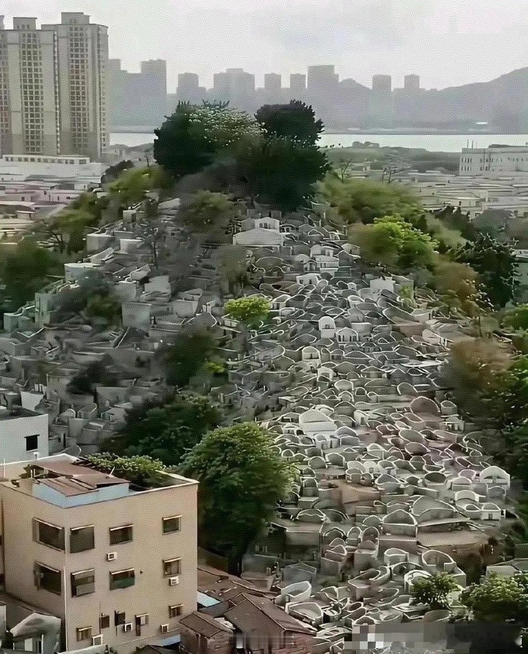 为什么现在不推行土葬，这就是后果！ ​​​