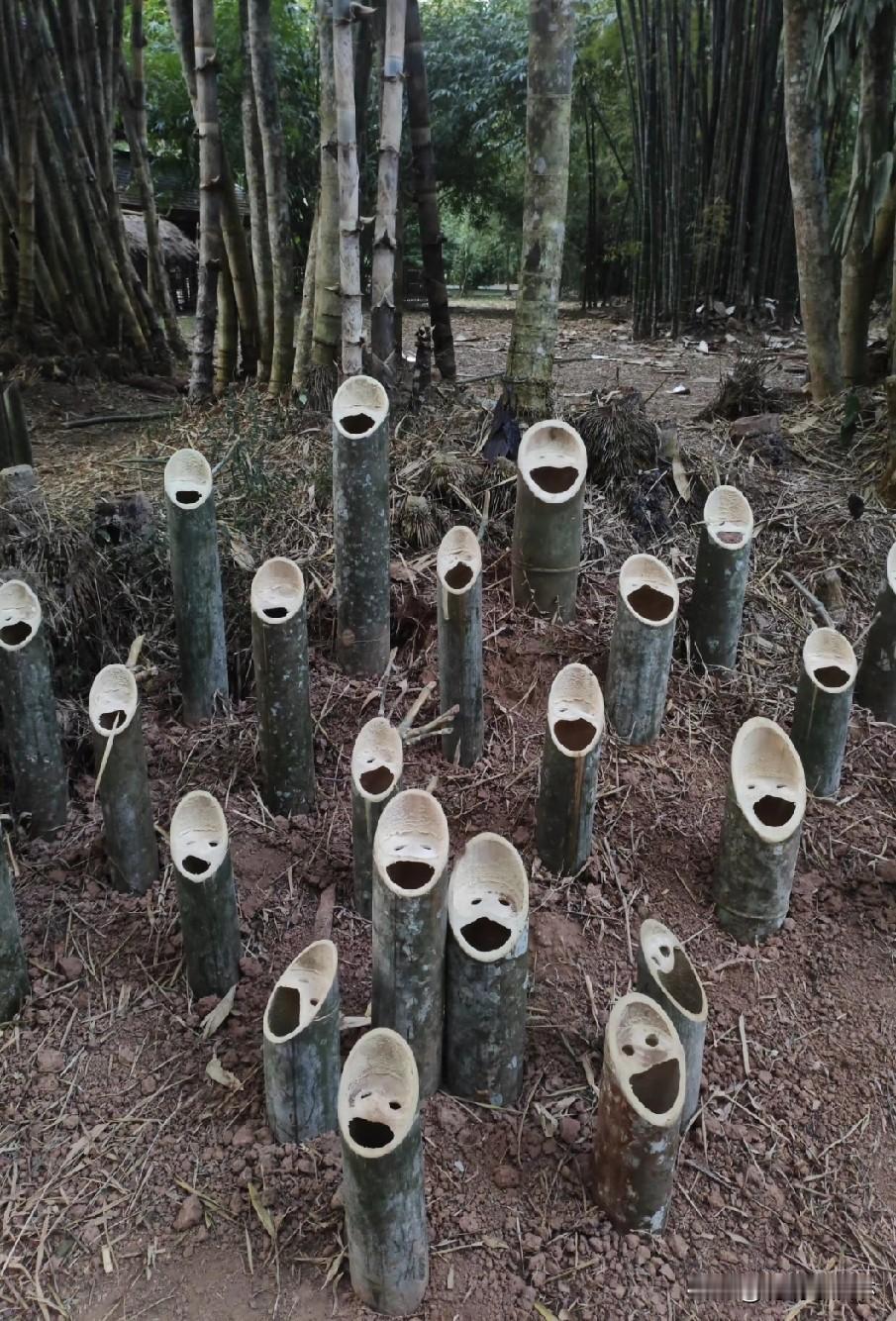 这张图，让你想到了什么…