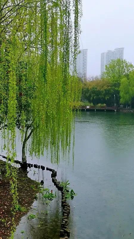 上联:春景添妆花似锦
下联:东风送暖柳如烟
横批:春回大地