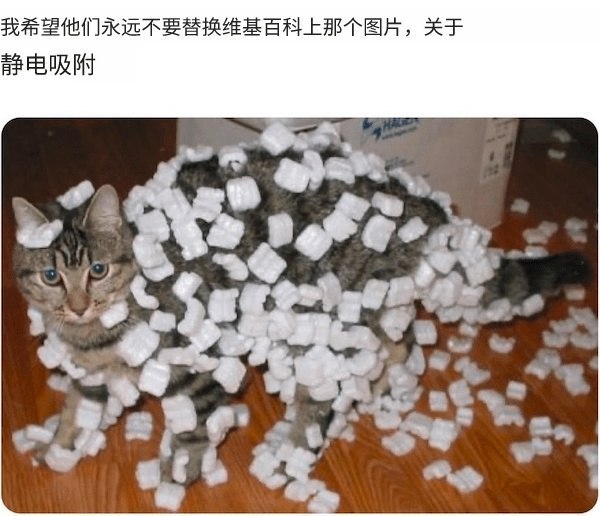 维基百科中静电的介绍页里的小猫 