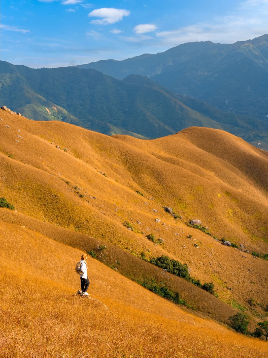 朋友圈都以为我去了沙漠，其实是香港🤣