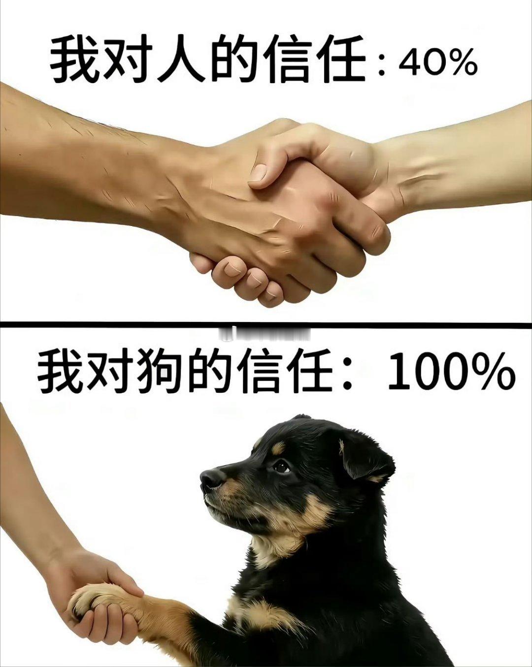 关于梅村这事儿，上半年丈母娘就和我说，她隔壁邻居靠拉人头半年估计赚了150万，满