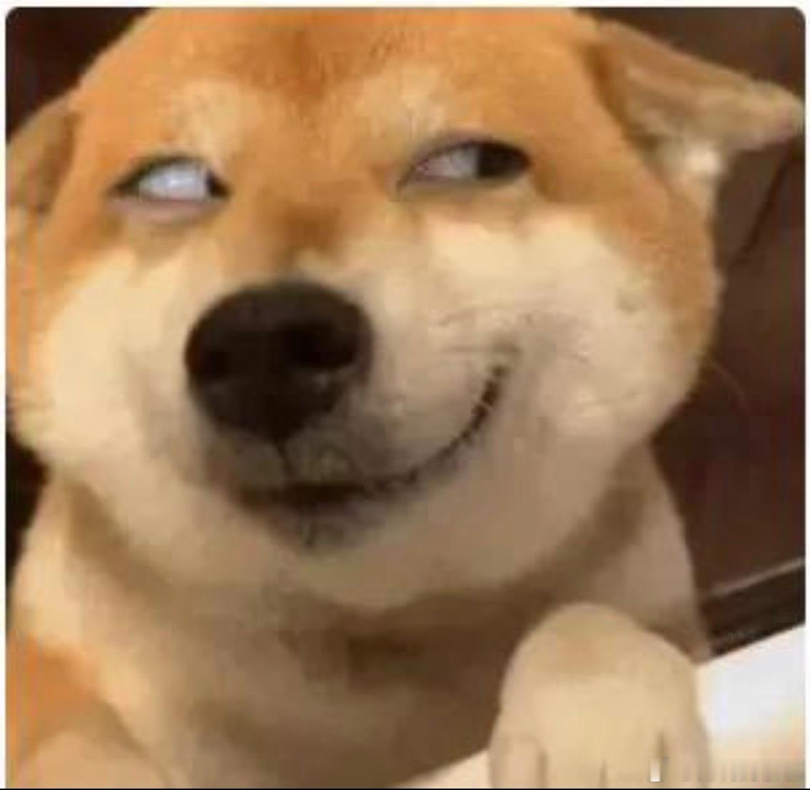 不买，涨停了不卖，跌停了看到没有我眼神给出去了身体成X型 