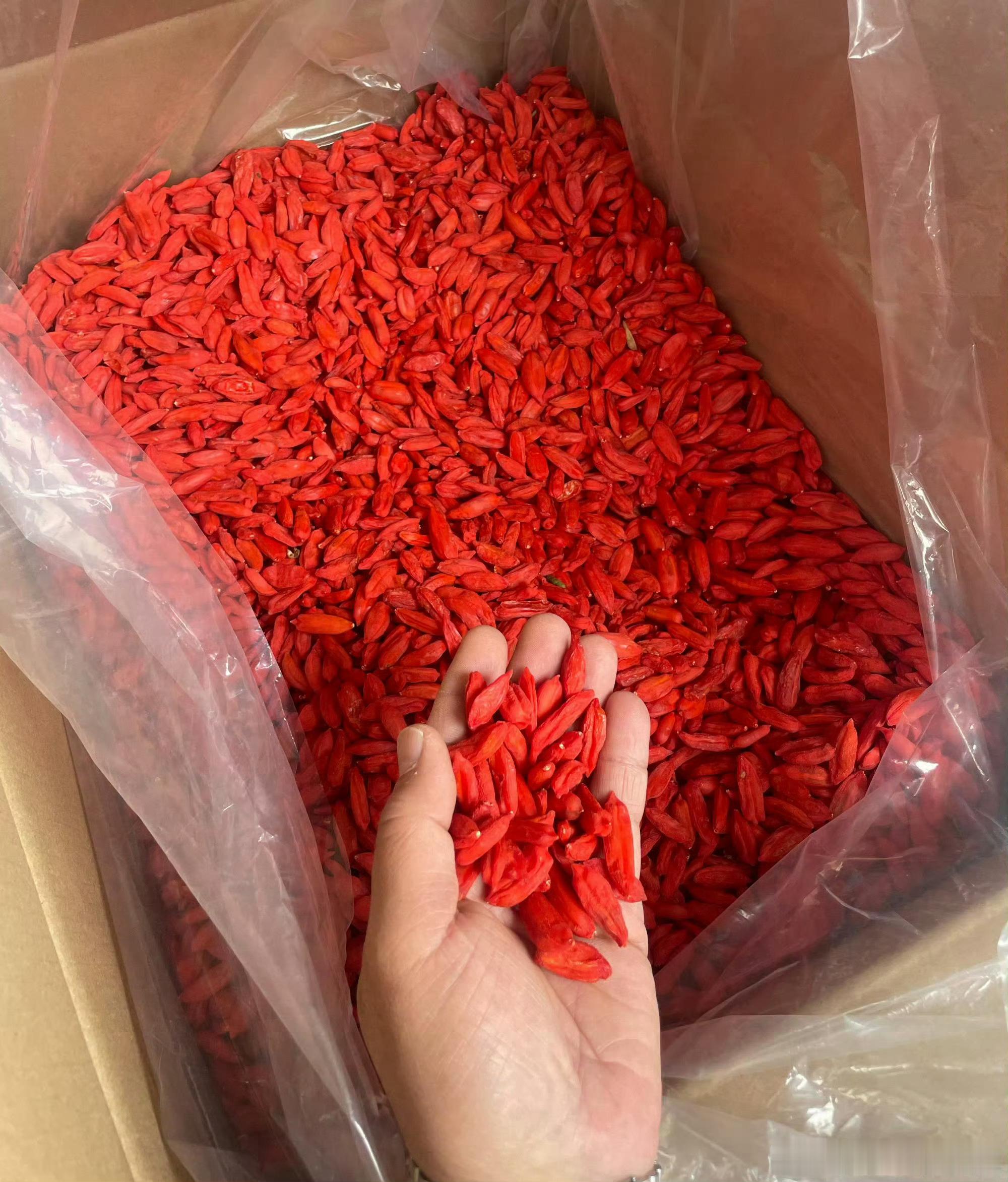 赓续红色血脉传承两路精神  青海枸杞最出名的三个地方均位于海西蒙古族藏族自治州，