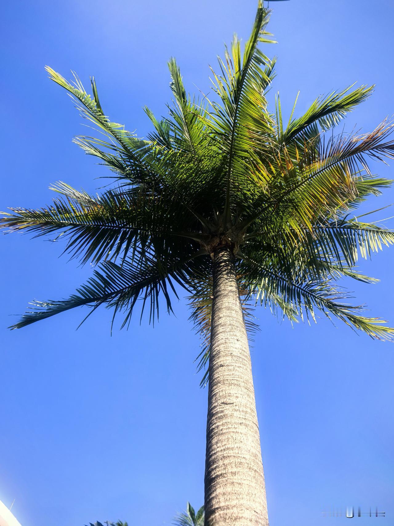 今日一位久未联系的朋友来电办事，为拉家常，张口就问：“你孩子在哪读书？结婚了吗？