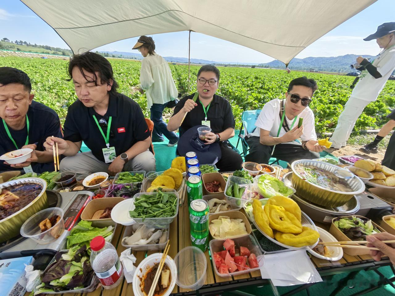 同志们
认识几个大V[呲牙][呲牙]
今天在青海互助县冷凉蔬菜基地🥬🥬
直接