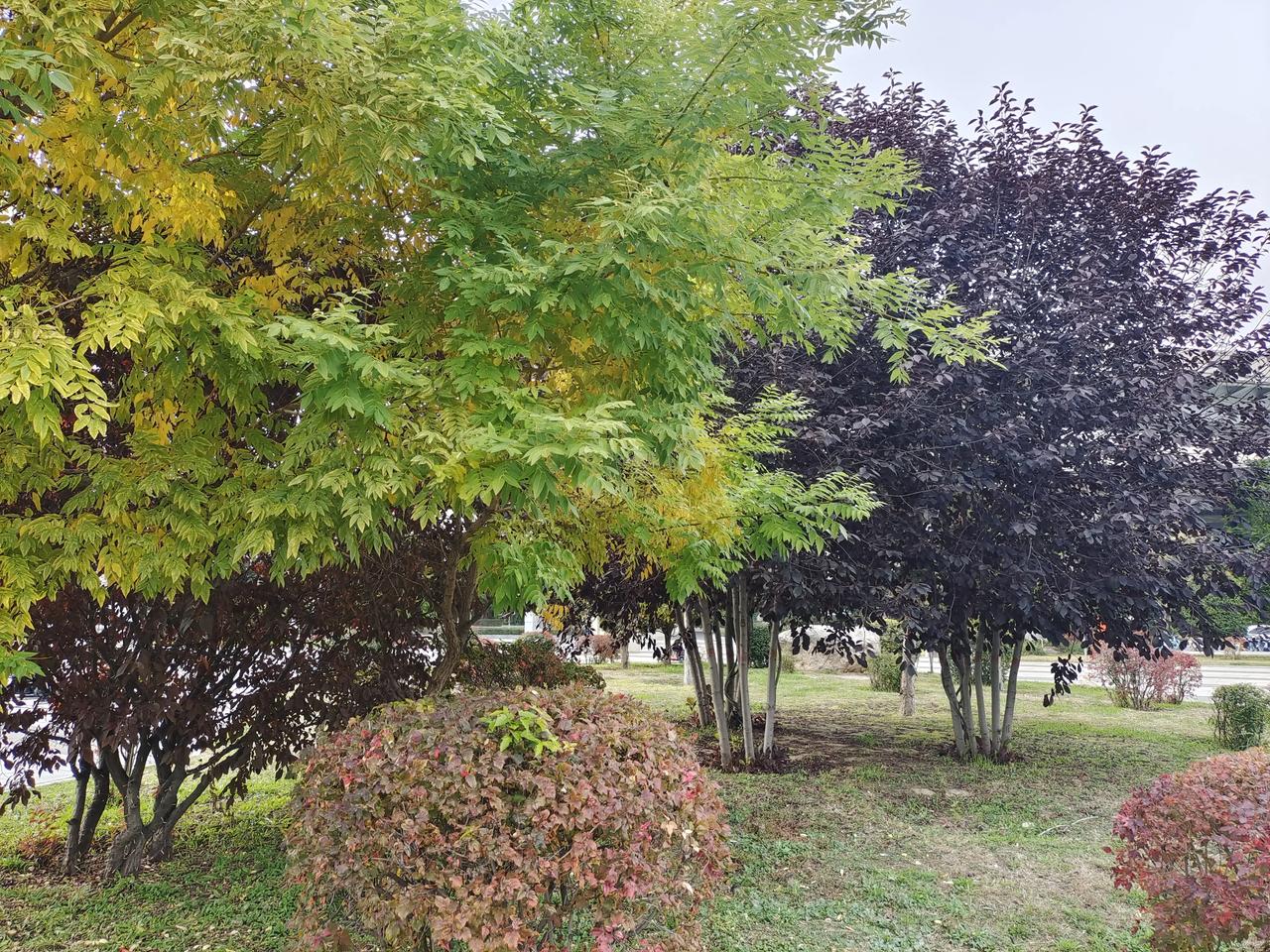呼市有家新开的餐馆，自助式取菜，然后称重量付费，吃多少取多少，取多了浪费的也是自