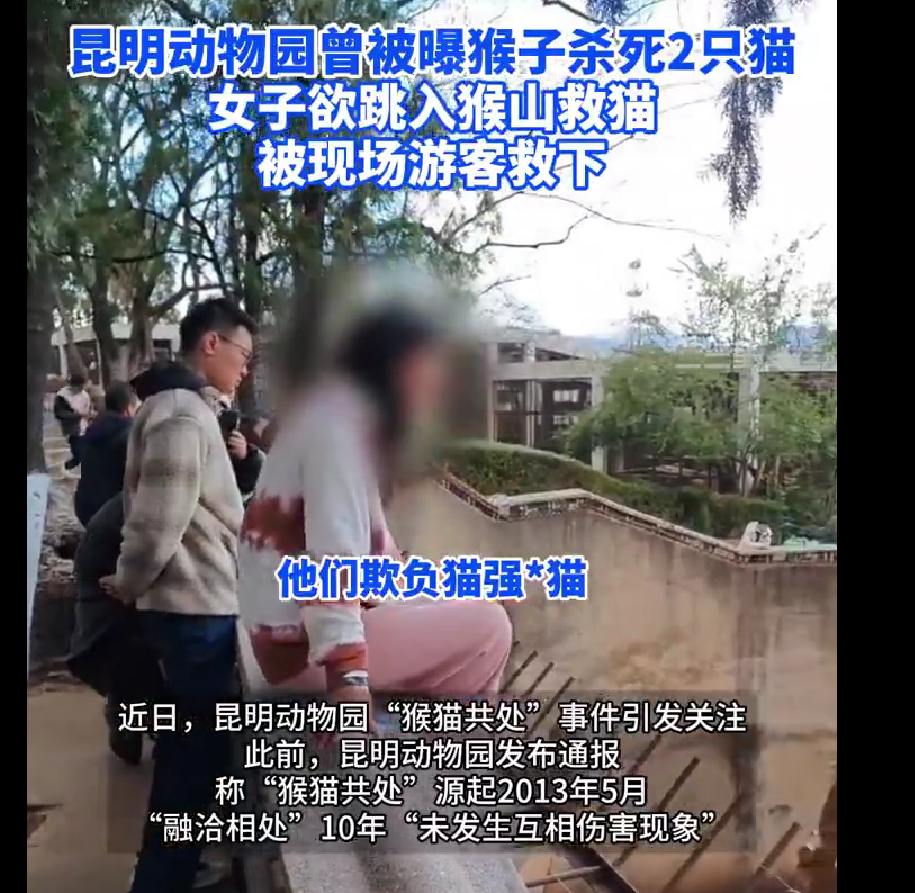 #昆明动物园通报猴群与猫共处#美国萝莉岛的事搞这么大，也没见国内媒体和这么多V这