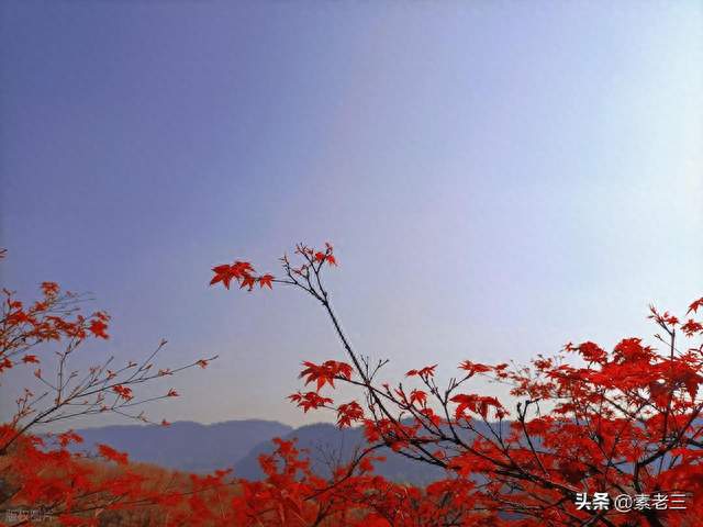 立秋的晚年——老公的秘密（8）