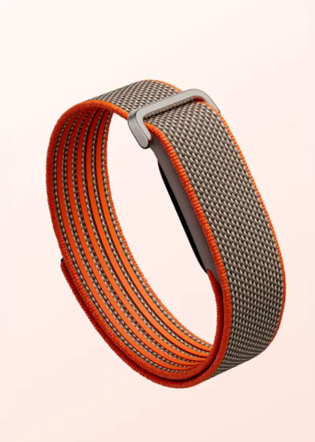 谷歌公司推出的Fitbit Air无屏手环重12克，去除腕带后，机芯的重量仅有5