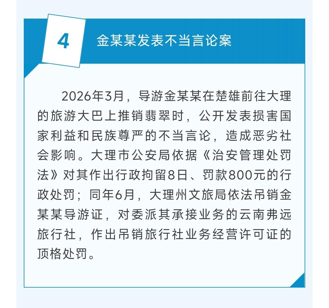 2026年3月，导游金某某在楚雄前往大理的旅游大巴上推销翡翠时，公开发表损害国家