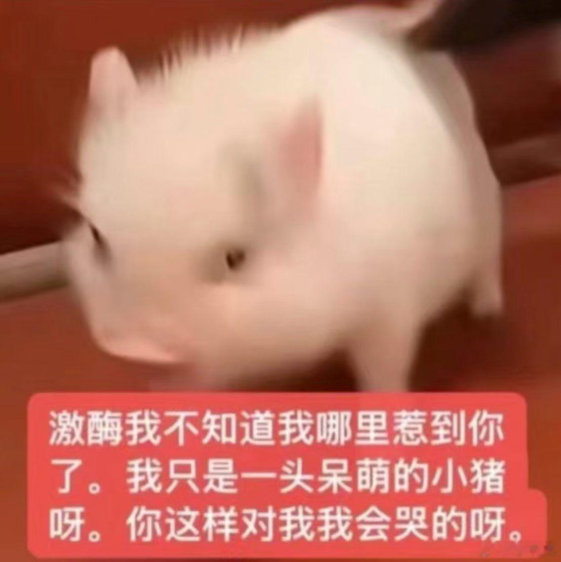 分享图片 
