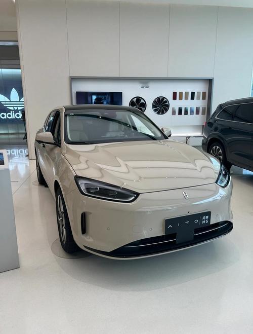 国产电车做起来有什么不好?国产电车耐用又漂亮，老外都喜欢，身为中国人很骄傲。