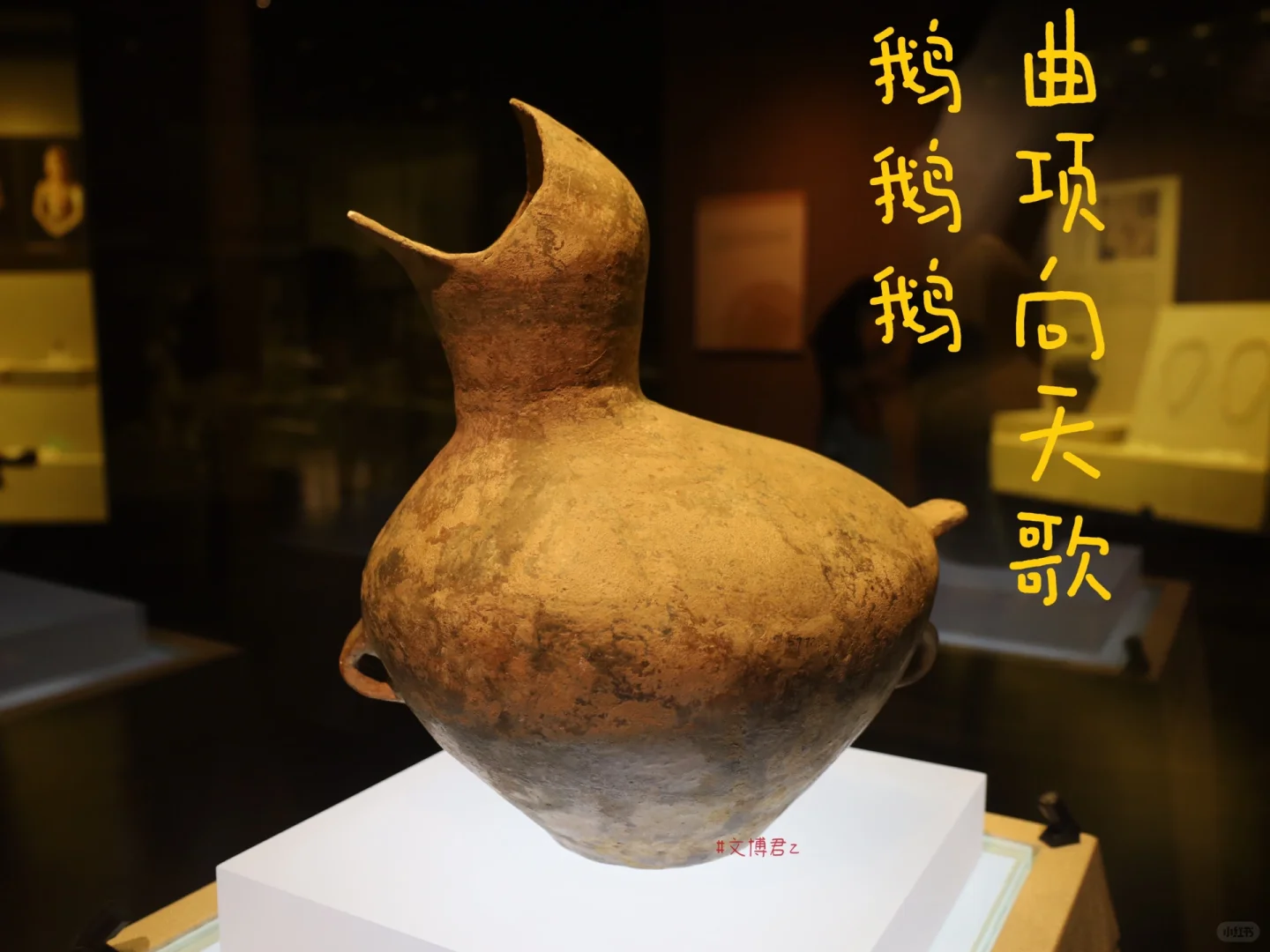 嗷嗷待哺的。。。大鸟？罐子