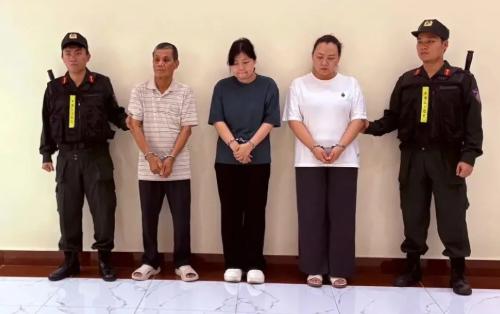 一家三口联手操作，将中国生产的电力设备伪装成加拿大产品，连续三年混入越南电力招标