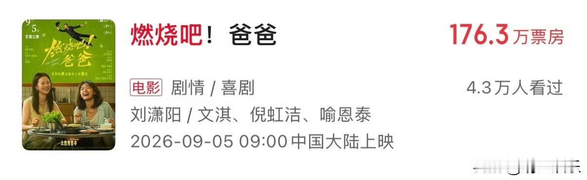 文淇一番主演新电影《燃烧吧！爸爸》300万票房保卫战，应该是创下了00电影花的新