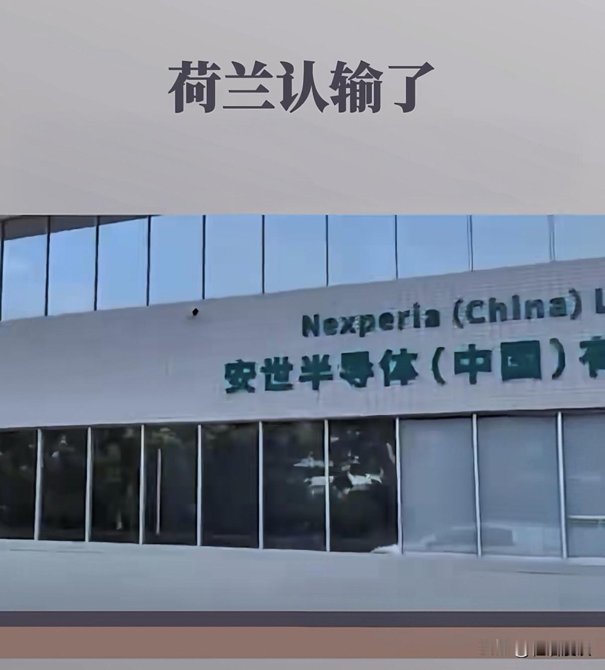 “偷鸡不成蚀把米”，
刚过一个月就光速认怂，
这不，荷兰官宣要搁置“管制令”，把