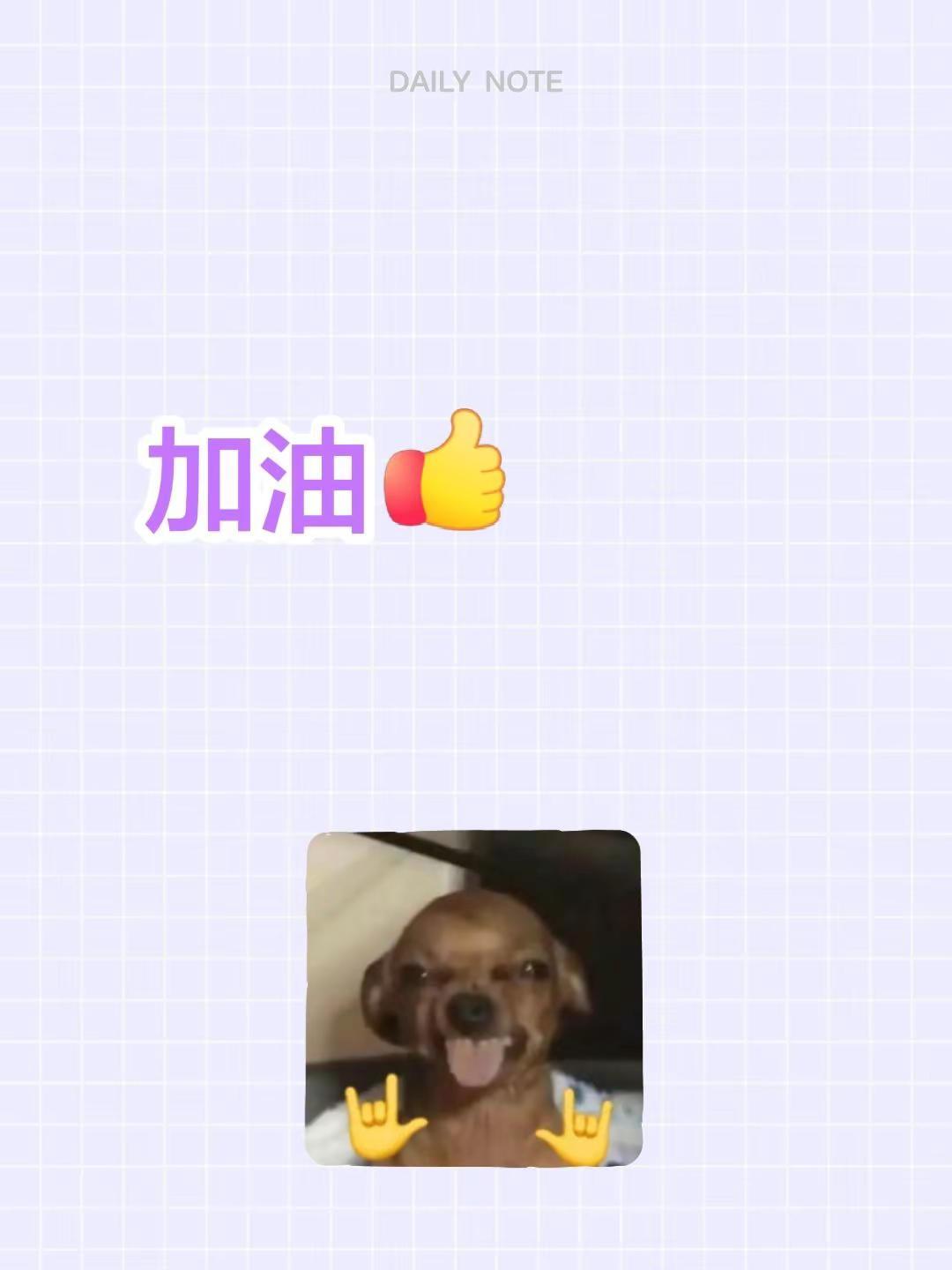 我评论了@湿巾工厂严选店 的作品：加油