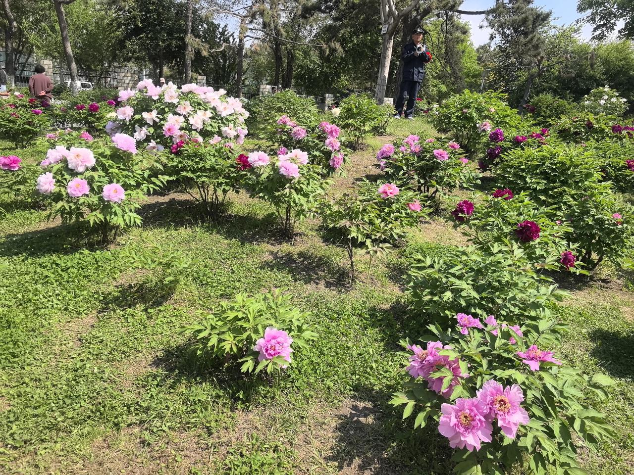 《北上》看了，思艺到底什么时候才能和北上的大家相遇呢？望和少年时代对思艺的爱慕，