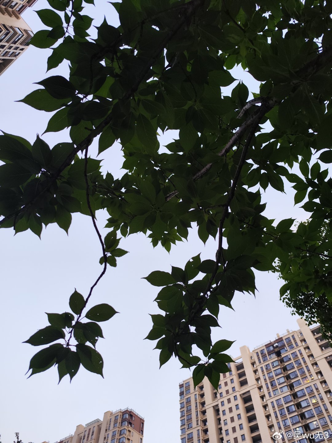 运动果然会分泌多巴胺，虽然都是汗但是很舒服很舒服。在休息的时候有个小朋友过来说：