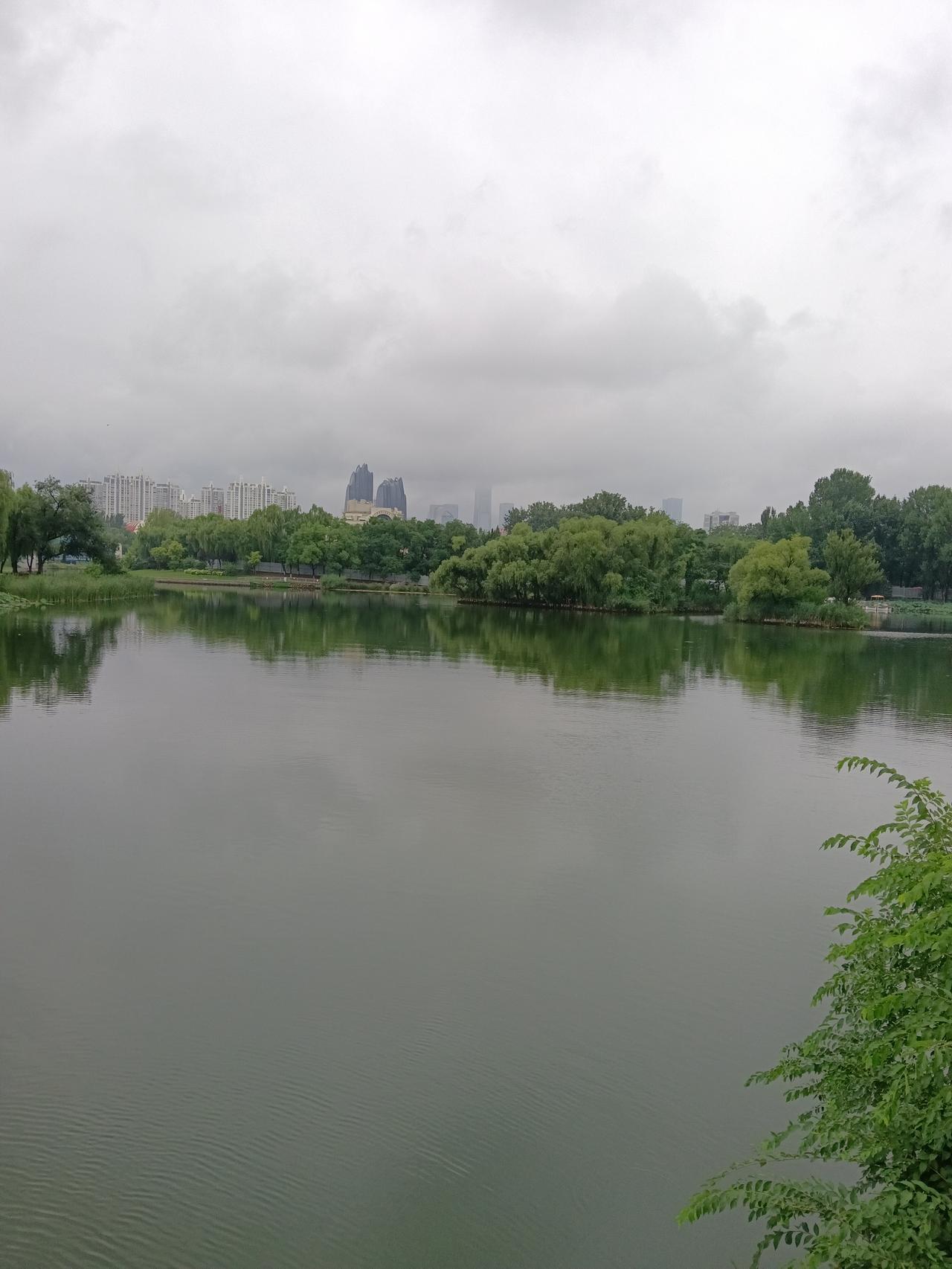 纯净水和白开水哪个更利于健康? 纯净水和白开水哪个更利于健康，这事儿没那么绝对。