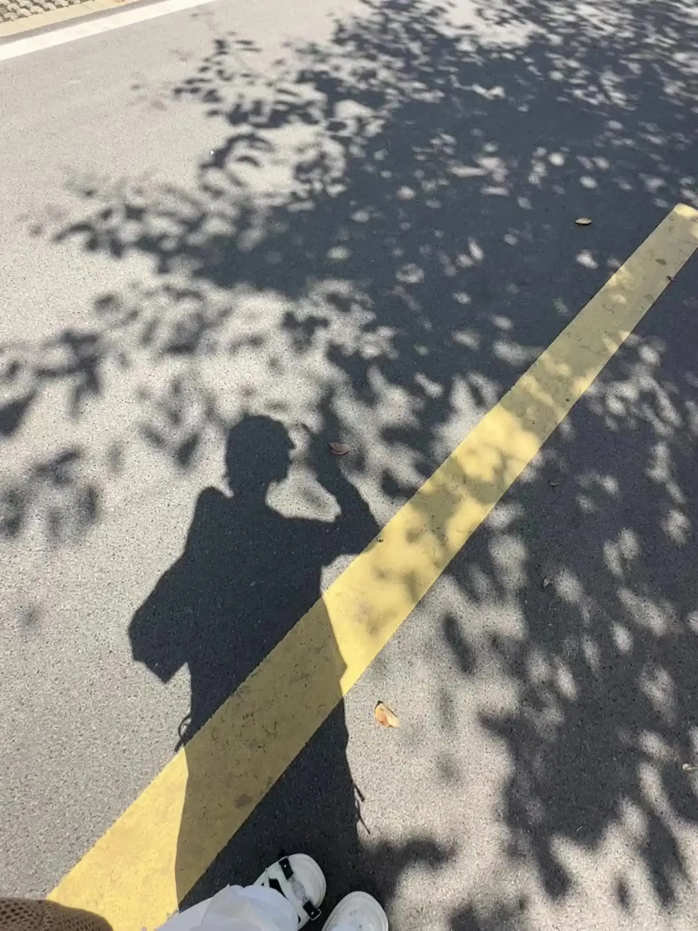 人不一定要往高处走 也可以往四处走 不能一直做正确的选择 偶尔也要做一...