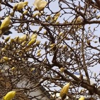 ʜᴀ͟ᴘ͟ᴘ͟ʏᴇᴠᴇʀʏᴅᴀʏ̆̈❤ 生活原本沉闷，但跑起来就有风 我们最好的