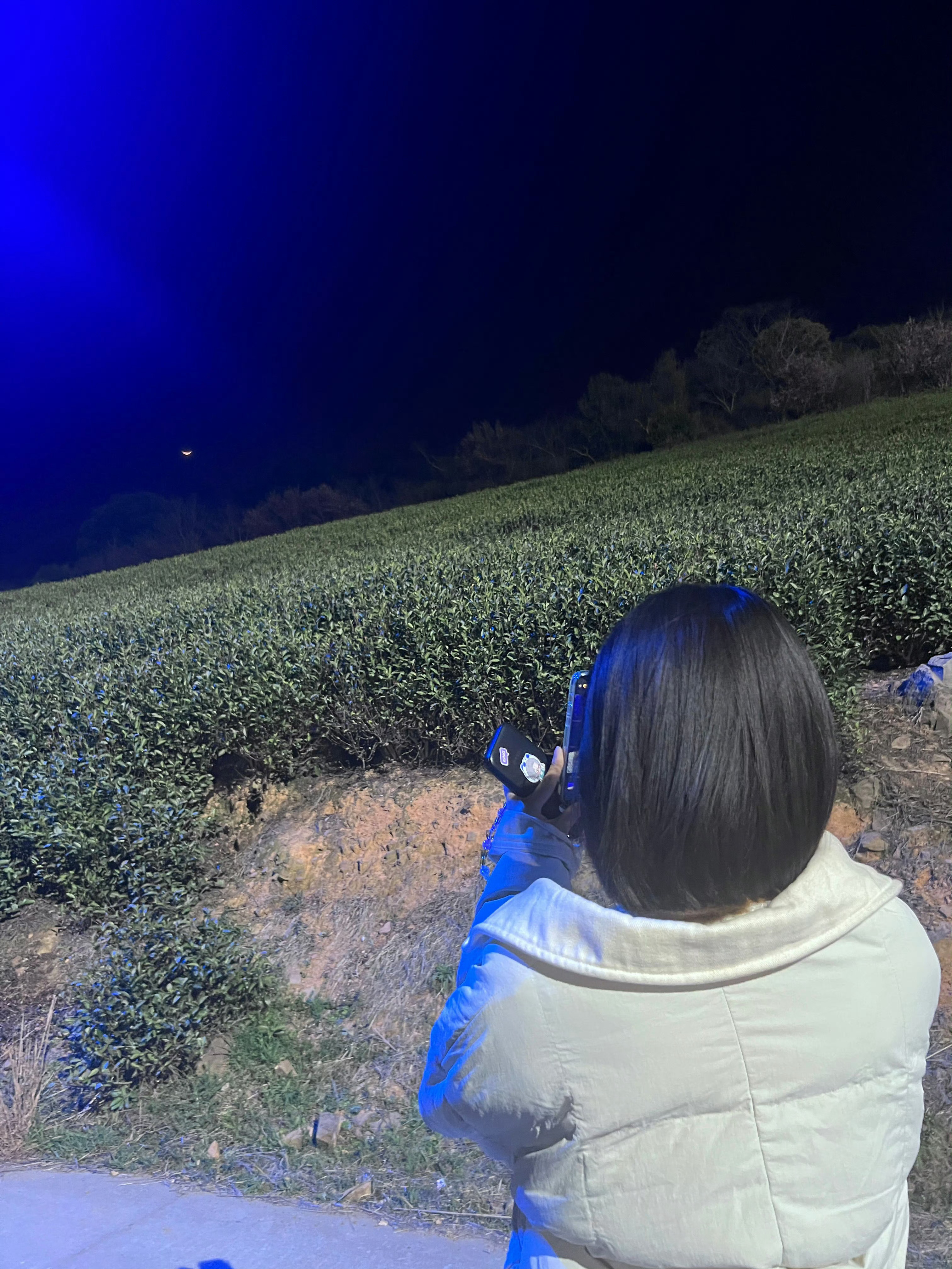任敏·关于秦睿的一些碎片时光♡₊⁺₊˚⊹⁠♡——— ˗ˋˏ꒰ঌ ՞⸝⸝'ᜊ'⸝⸝