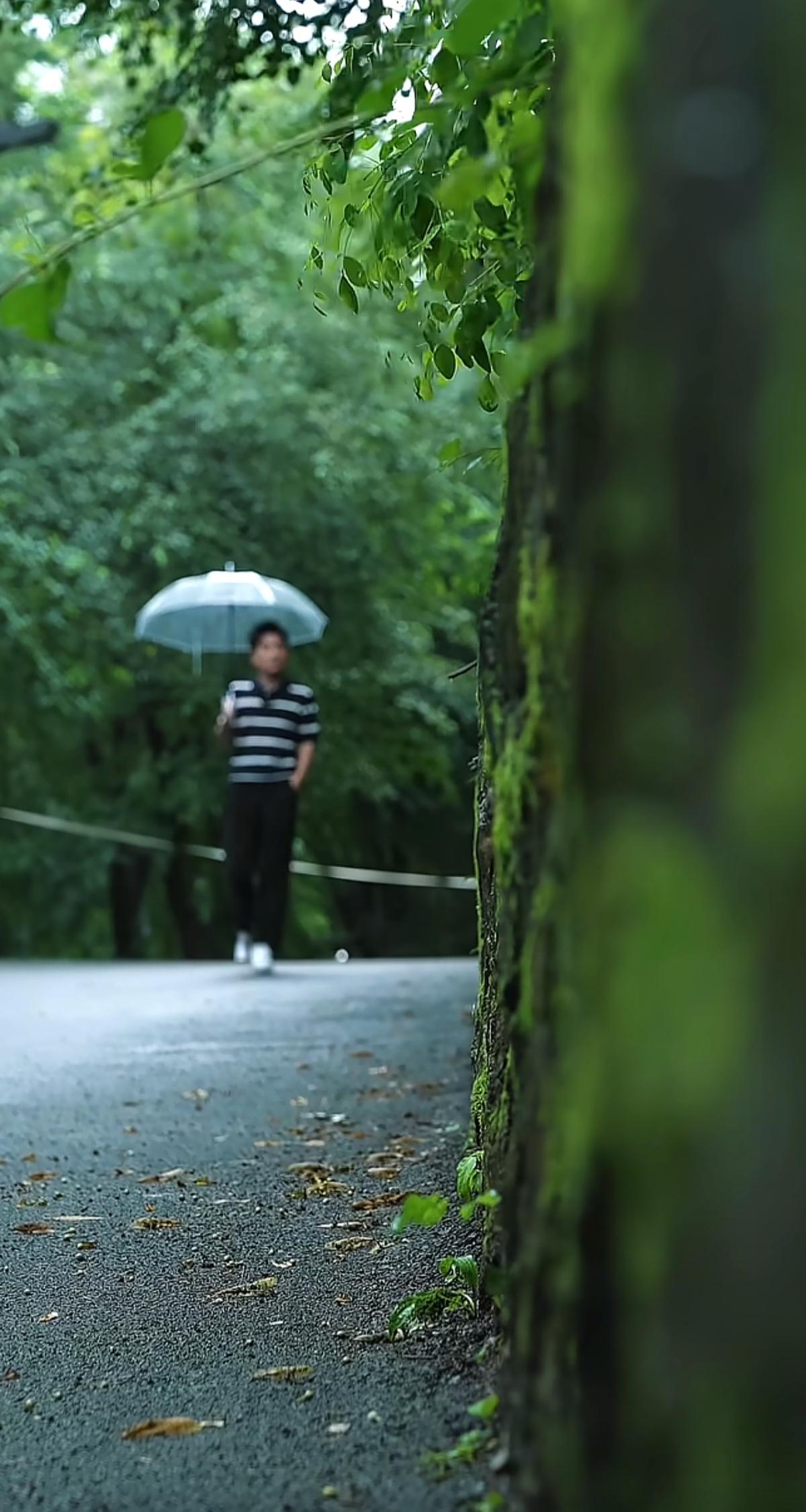 “与辉同行阅山河·吉林行”
彪哥昨天在雨中漫步……
       净月潭，是洗濯