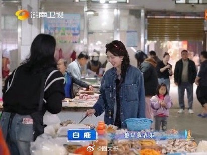 王鹤棣白鹿被说长得像哈哈哈哈一个敢说另一个敢认可还行！白鹿和王鹤棣被说长得像，白